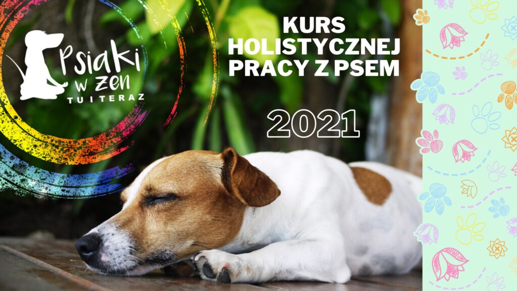 kurs holistycznej pracy z psem