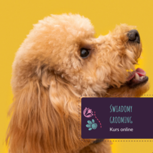 Świadomy Grooming - kurs online