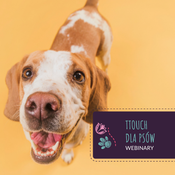 TTouch dla psów - webinary