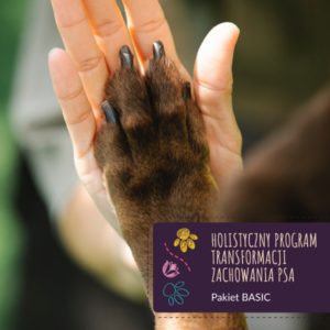 Holistyczny Program Transformacji Zachowania Psa PAKIET BASIC