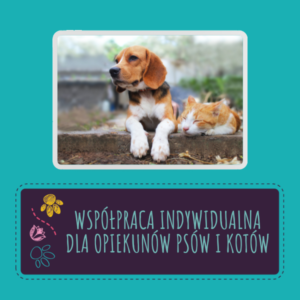 Współpraca indywidualna