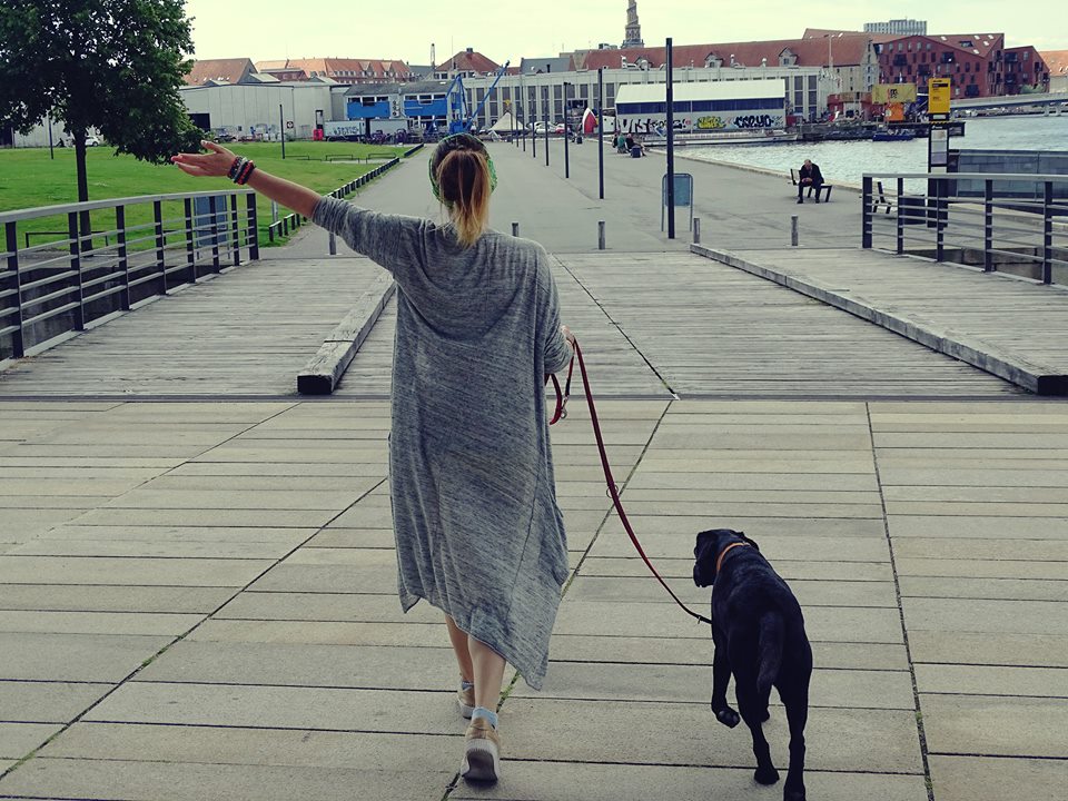 Developing your potential with your dog