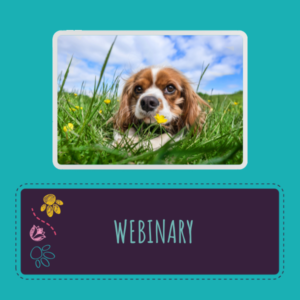 Webinary