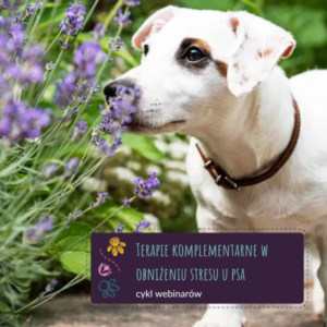 Terapie komplementarne w obniżeniu stresu u psa - cykl webinarów